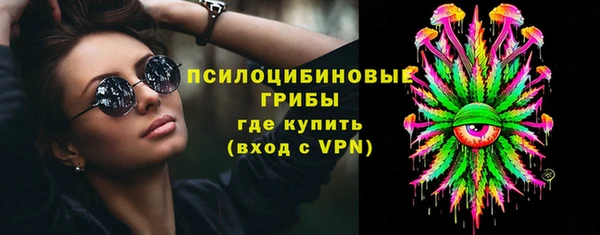 гашик Няндома