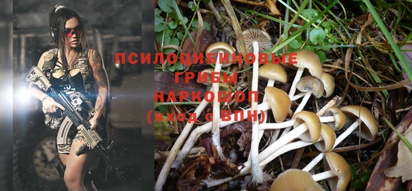 индика Алексеевка