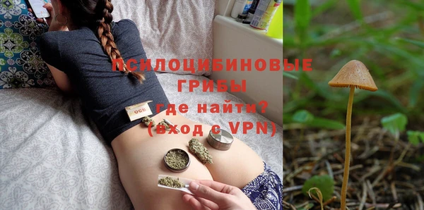 метадон Алексин
