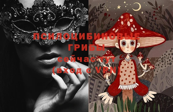 гидра Алзамай