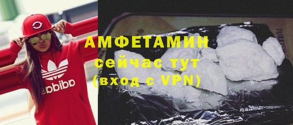 гашик Няндома