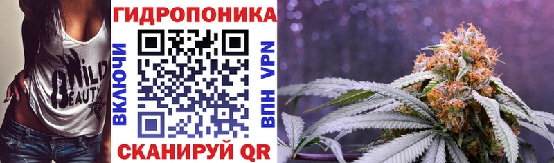 закладка  Усть-Лабинск  МАРИХУАНА сатива 